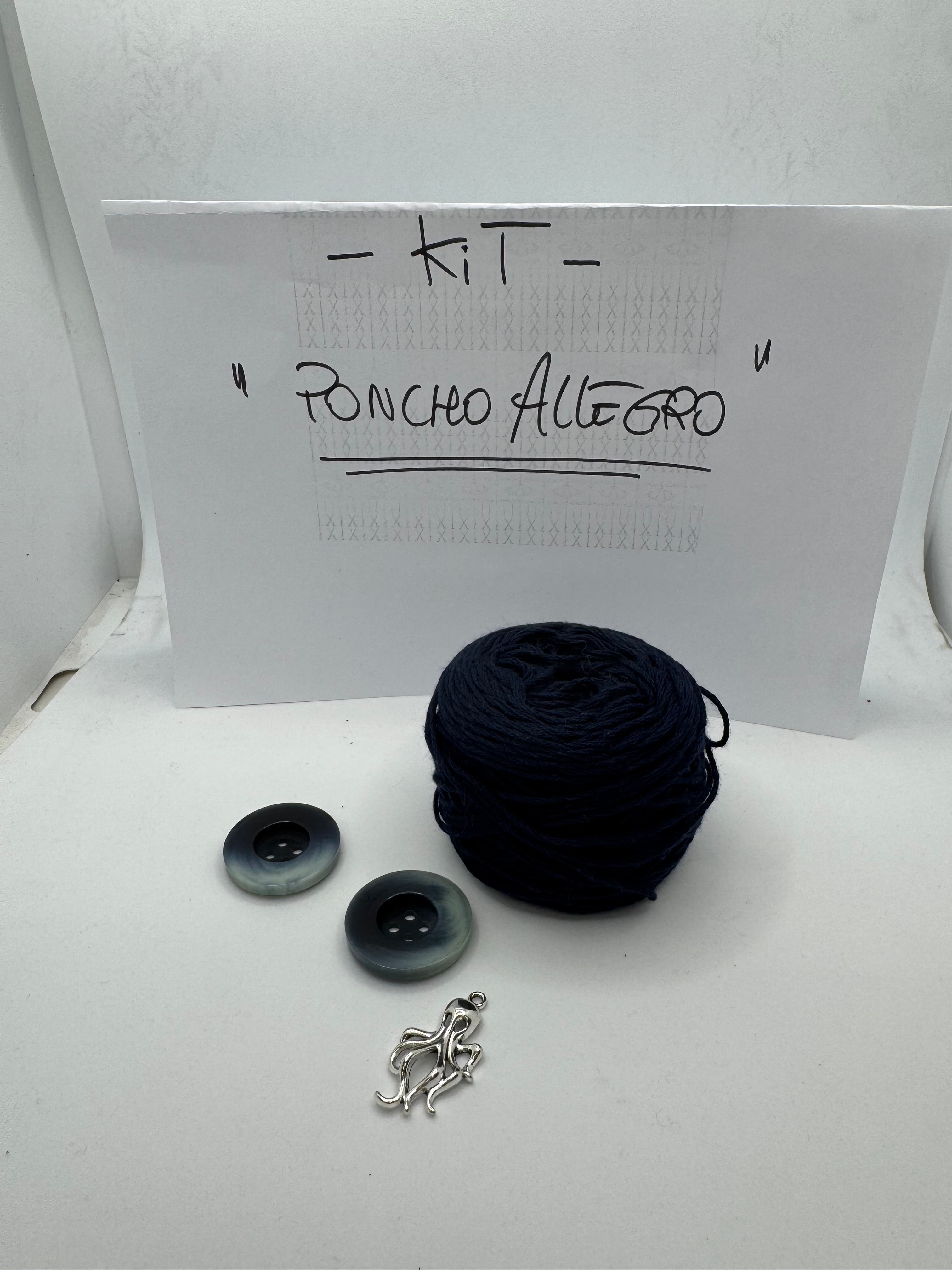 Kit "Poncho Allegro"